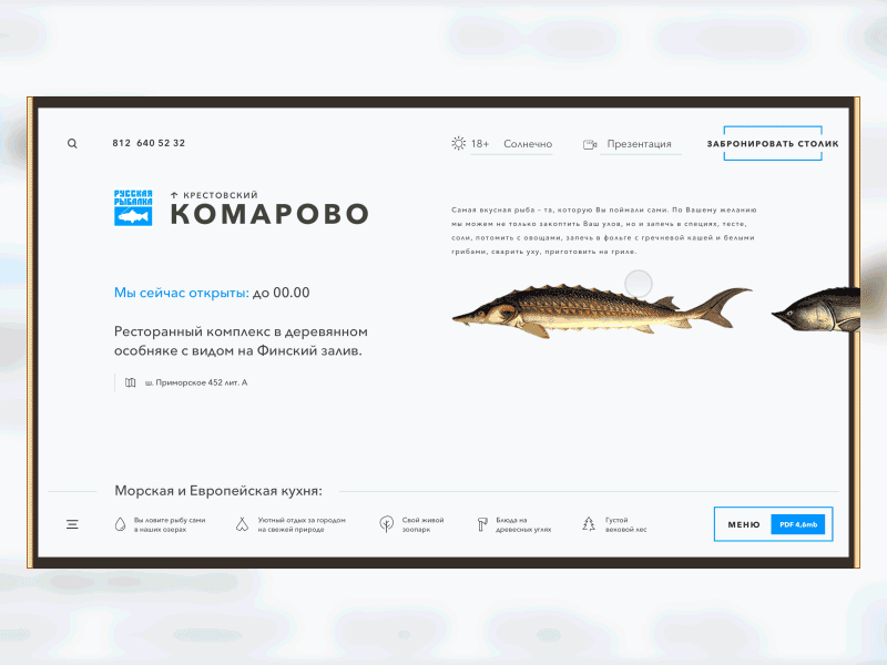Russian Fishing design gif landingpage rybalka ui uidesign ux uxdesign website