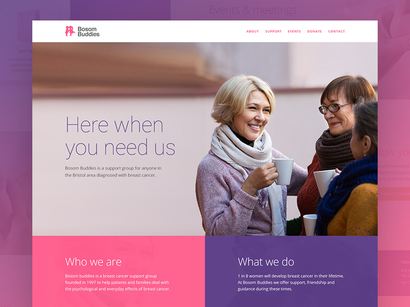 Bosom Buddies bristol anchor single one page website buddies bosom charity support cancer breast