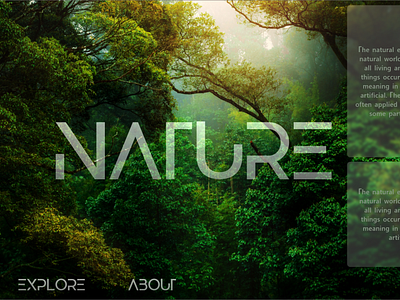 THE NATURE