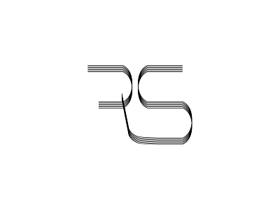 Letter R S letters logo r s typography vector