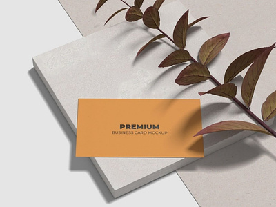 Minimalist Business Card Mockup