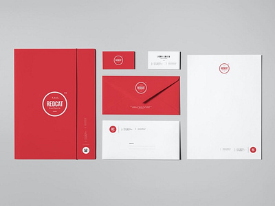 Branding / Identity Mock-up