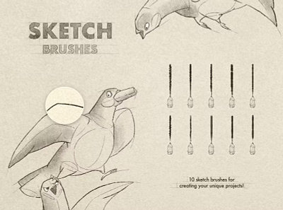 Free Sketch & Pencil Procreate Brushes art brushes charcoal craft drawing graphite grunge hatching illustration paper pencil procreate procreate app procreate art procreate brush procreate brushes shading sketch texture textures
