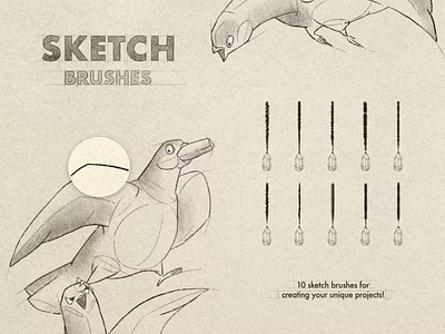 Free Sketch & Pencil Procreate Brushes