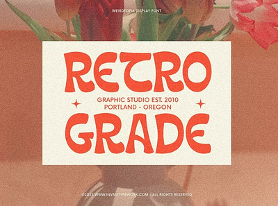 Free Groovy Retro Font calligraphy display font display typeface elegant font font font awesome font family fonts handwritten lettering retro sans serif sans serif font script serif font type typedesign typeface vintage vintage font