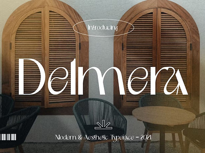Modern & Aesthetic - Delmera Font
