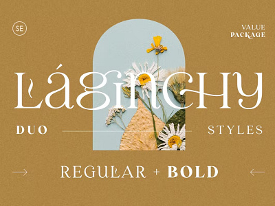 Laginchy - Quirky Serif (Regular & Bold) calligraphy display display font elegant font elegant fonts font font awesome font family fonts lettering logo fonts modern font modern fonts sans serif sans serif font script simple type typeface typography