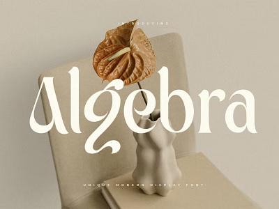 Algebra - Unique Modern Display Font