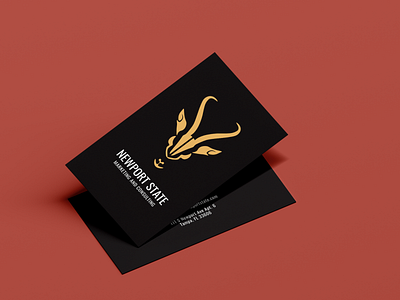 Newport and State Logo and Business Card business card color pallette graphic design logo design marketing sports website design