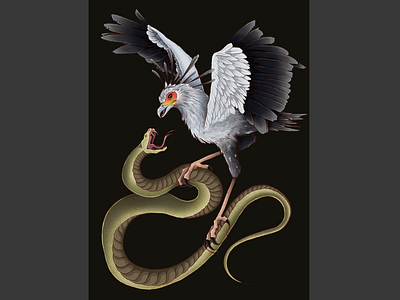 Secretary Bird v.s. Snake Illustration artwork design graphic design illustration illustrator