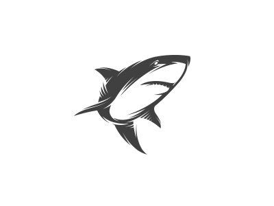 shark black white fish illustration shark