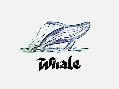 Whale