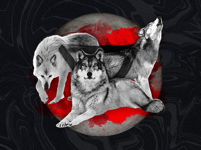 Wolves of the Wild | The Wolfpack design edit editing family friends graphic design grayscale illustration moon paarvaigalpaintings photoshop red stroke triangle wolf wolfpack wolves