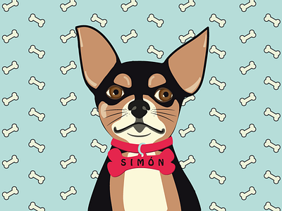 Simon chihuahua design dog dog portrait illustration illustrator portrait vector