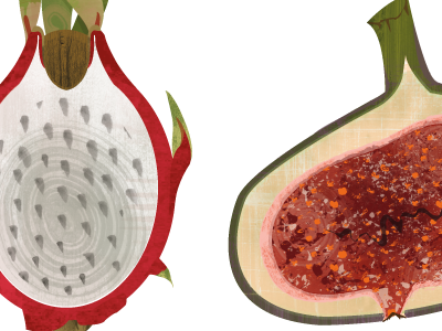 Fruit fig food fruit illustration pataya texture