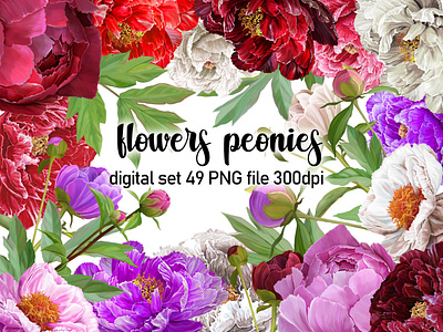 Flowers Peonies Clipart bouquet of flowers digital png digital set of flowers floral elements for design floral illustration flower clipart flowers for scrapbooking garland of flowers illustration peonies clipart peonies digital peonies png peony clipart set pink flowers roses scrapbooking clipart wedding clip art wedding flowers wreath of flowers