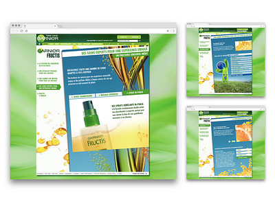 Garnier Fructis - Ui - 2011 freelance interface ui ui design ui designer visual design web design webdesign website