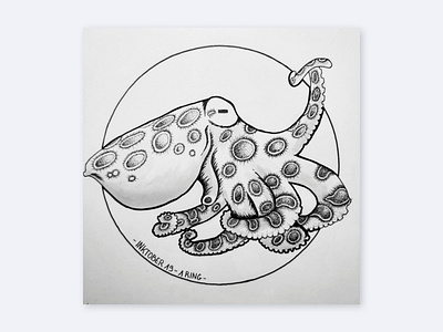 Inktober 19 - Octopus design drawing freelance graphic design illustration ink ink drawing inktober octopus visual design