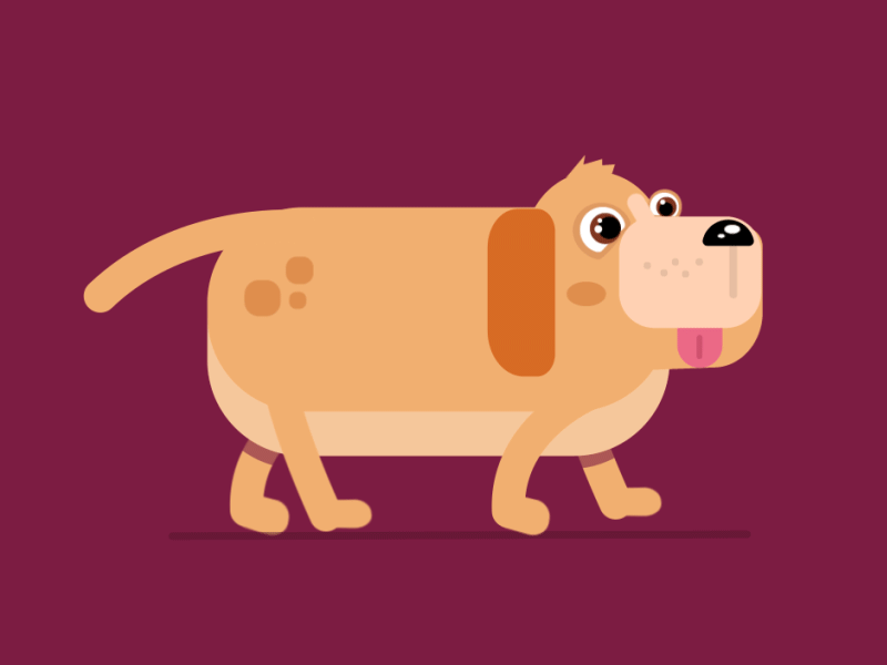The dog walk 2d after effects animation character animation cycle dog walkcycle