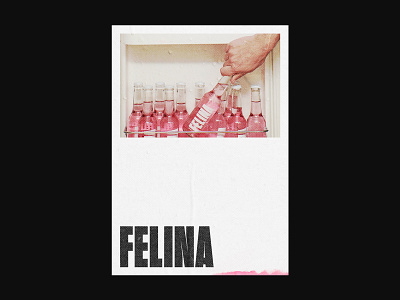 Brand identity // Felina Drink // 02 beverage brand brand design brand identity branding drink editorial graphicdesign grid logo logotype typography visual design