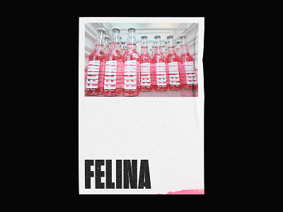 Brand identity // Felina Drink // 03