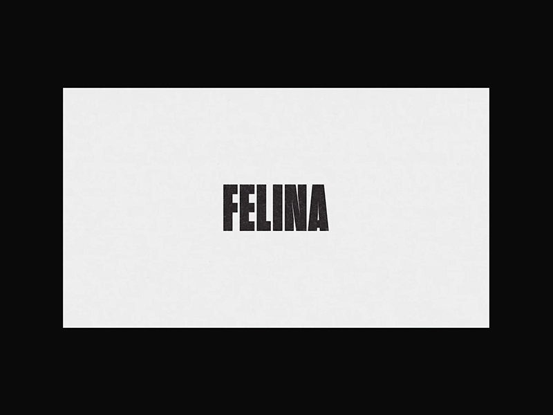 Brand identity // Felina Drink // 05