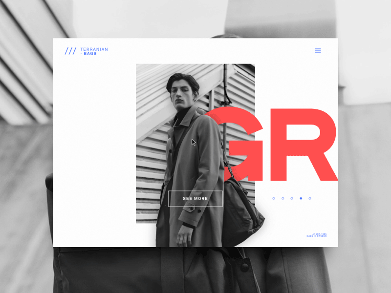 TERRANIAN BAGS // 002 artwork bold bootstrap home landing product responsive type typography ui ux web web design