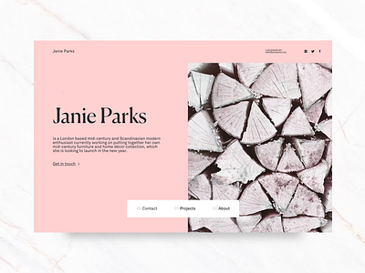 Janie Parks // 001 // Landing page