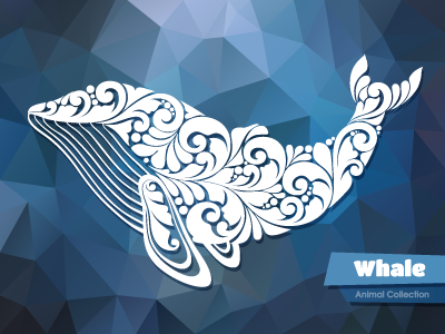 Whale animal art illustration ornament pattern vector whale