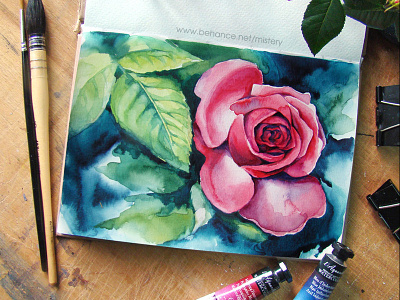Rose art flower illustration nature watercolor