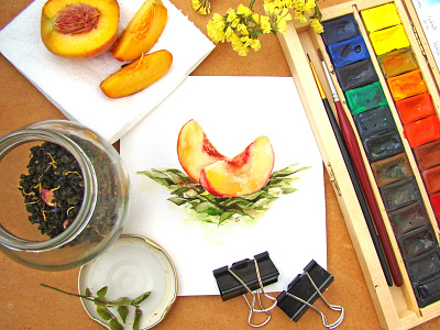 Peach design food illustration packaging tea watercolor