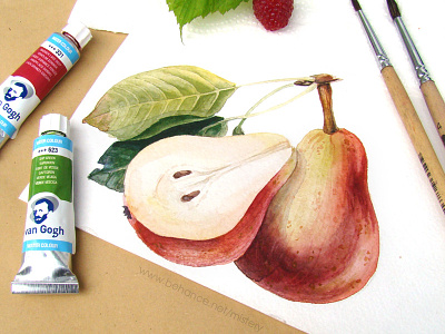 Pears food fruir illustration watercolor