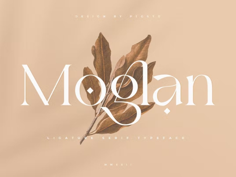 Free Moglan Ligature Serif Typeface by Joseph Typo on Dribbble