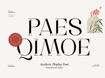 Free Paes Qimoe Font calligraphy design display font display typeface elegant font font font awesome font family fonts handwritten lettering modern font modern fonts sans serif sans serif font script serif font type typeface vintage font