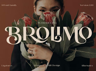 Bromilo Typeface display font font awesome font family fonts sans serif sans serif font serif font