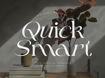 Quick Smart Modern Serif Font display font font awesome font family fonts sans serif sans serif font serif font