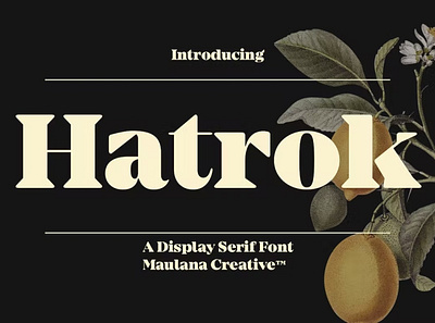 Hatrok Display Luxury Serif Font creativemarket display font font awesome font family fonts sans serif sans serif font serif font