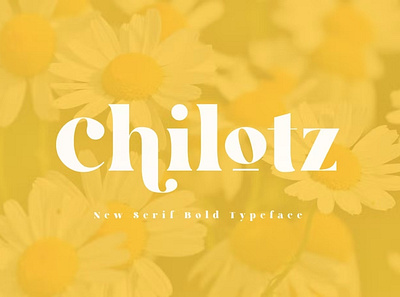 Chilotz | Serif Bold Typeface cover cover lettering cover lettering font font freebies fonts free free download freebies freebies font freebies font freebies fonts freelance freelance graphic design graphic design lettering lettering cover type typography