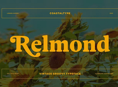 Relmond Font calligraphy cover cover lettering cover lettering font font freebies fonts free freebies font freebies font freebies fonts freelance freelance graphic design graphic design lettering lettering cover type type design typography