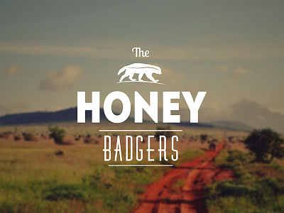Logo The Honey Badgers brand branding concept graphic design identity logo retro typography vintage