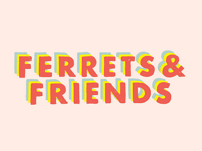 Ferrets & Friends