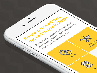 TaxChat iOS App — Intake Screen app iconography illustration interaction design ios mobile