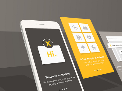 TaxChat iOS App — OnBoarding Screens iconography illustration interaction design mobile ux