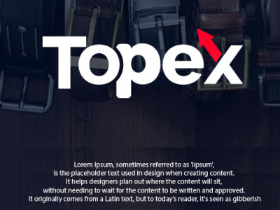 Topex Logo Design 3d artist branding design graphic design illustration logo minimal unique