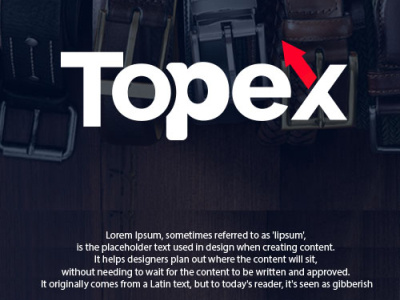 Topex Logo Design