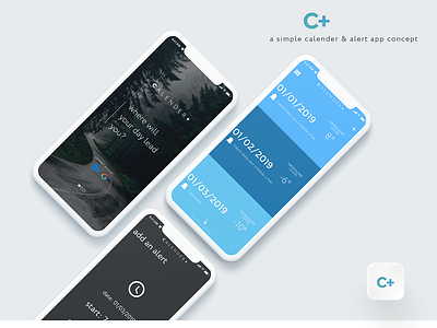 Calender Final app branding debut design flat icon logo newapp travel ui ux