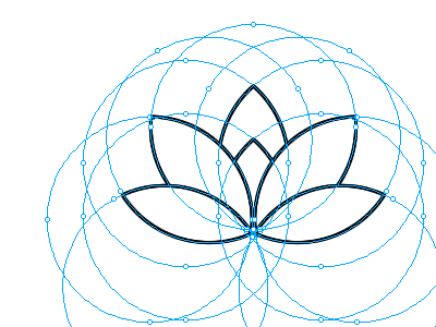 Lotus, play with circles