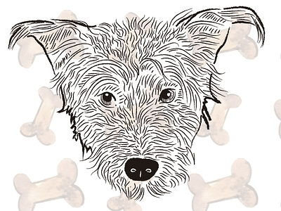 VET LINE / ILLUSTRATION design dog draw graphic design illustration pet vector