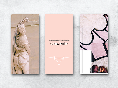 Lenceria designs, themes, templates and downloadable graphic elements on  Dribbble