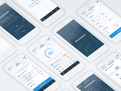 Viena sąskaita iOS app design app clean design ios simple